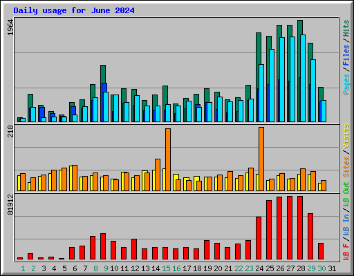 Daily usage for June 2024