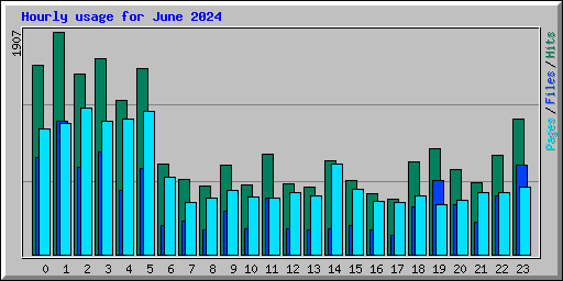 Hourly usage for June 2024